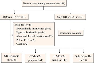 Metabolic characteristics of different phenotypes in reproductive-aged women with polycystic ovary syndrome